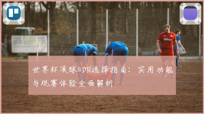 世界杯滚球app选择指南：实用功能与观赛体验全面解析