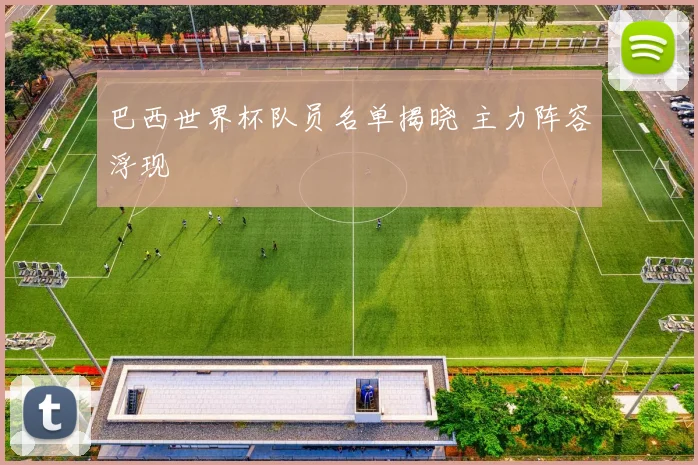 巴西世界杯队员名单揭晓 主力阵容浮现