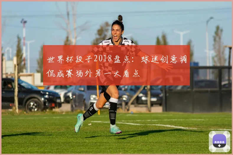 世界杯段子2018盘点：球迷创意调侃成赛场外另一大看点