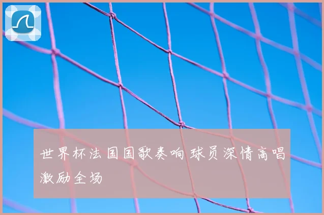 世界杯法国国歌奏响 球员深情高唱激励全场