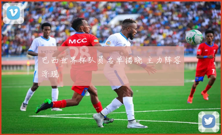 巴西世界杯队员名单揭晓 主力阵容浮现