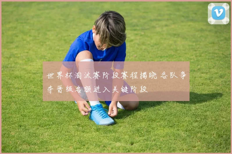 世界杯淘汰赛阶段赛程揭晓 各队争夺晋级名额进入关键阶段