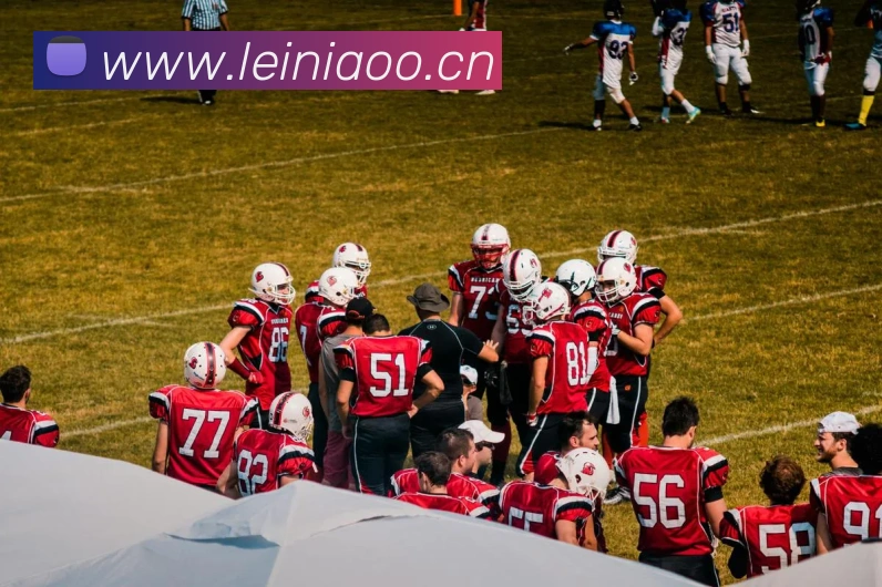 App Interface Preview